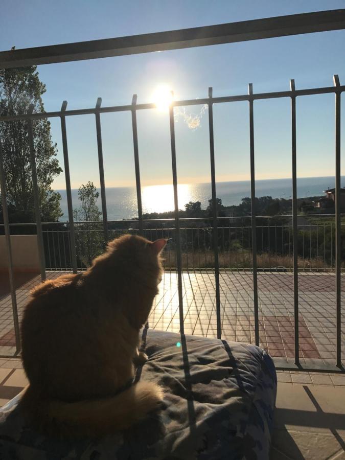 Luna Badolato Marina